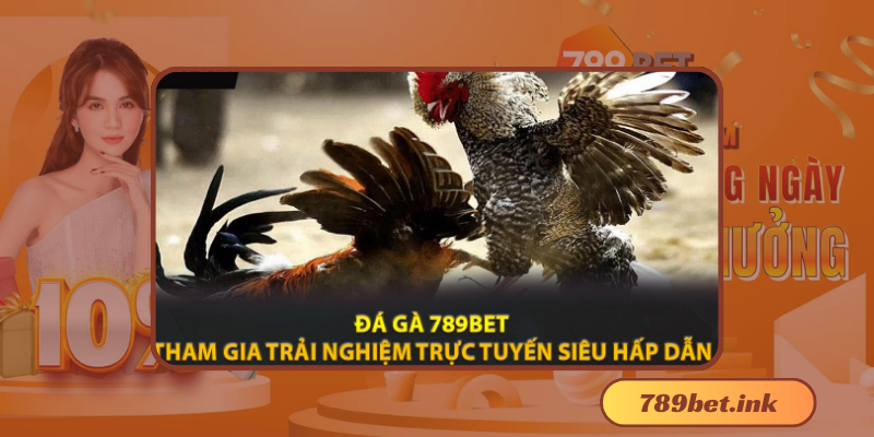 Đá gà 789bet: Trang web cá cược trực tuyến uy tín hàng đầu Việt Nam