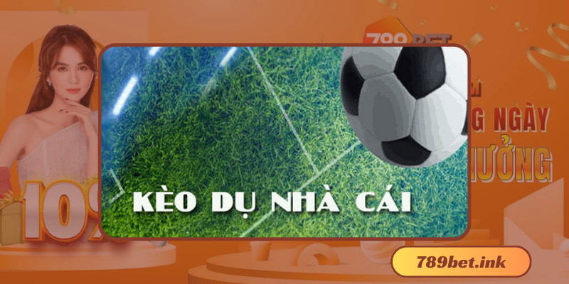 Vai trò của nhà cái trong việc chống kèo dụ